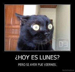 desmotivado.es_HOY-ES-LUNES-PERO-SI-AYER-FUE-VIERNES_134425570894.jpg