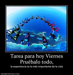 94139_tarea-para-hoy-viernes-pruebalo-todo.jpg