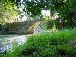 puente mocho.jpg