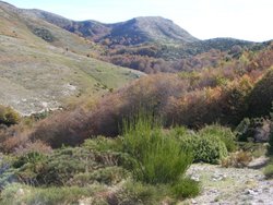 Montseny 13 007.jpg