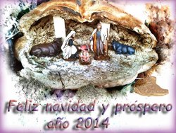 feliz-navi-2014.jpg