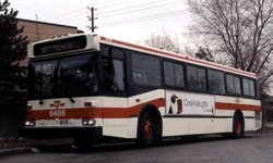 ttc-6488-37.jpg