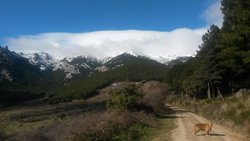 2014-01-25_sanblas_18.jpg