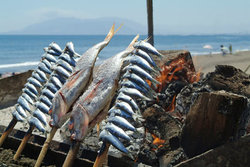 20091029213720-espetos-sardinas-or.jpg