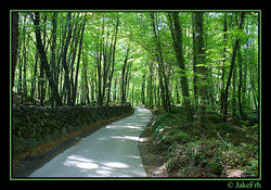 La Fageda.jpg