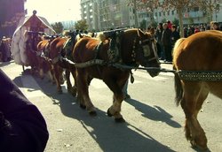 3toms vilafranca.jpg