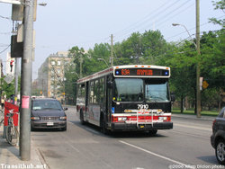 TTC_Orion_VII_7910.jpg