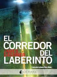 el corredor del laberinto.jpg