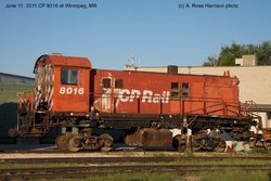 CP 8016-5.jpg