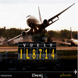 image_vuelo2.gif