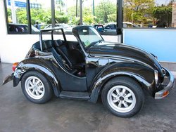 mini-beetle.jpg