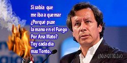 TONTO TONTO.jpg