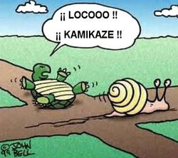 caracol_kamikaze.jpg